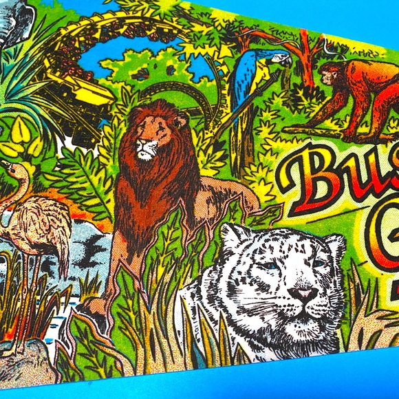 BUSCH GARDENS VINTAGE 90’s TAMPA FLORIDA COLLECTIBLE SOUVENIR PENNANT FLAG 30” - Picture 6 of 16